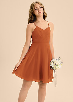 Azazie Avelina Junior Cinnamon A-Line Pleated Chiffon Dress image5