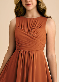 Azazie Skyla Junior Cinnamon A-Line Pleated Chiffon Dress image7