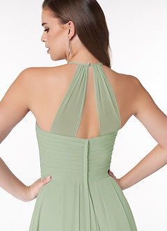 Azazie Ginger Bridesmaid Dresses Dusty Sage A-Line Halter Pleated Chiffon Dress image3