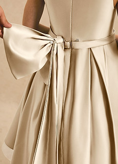 Azazie Josie Flower Girl Dresses Champagne A-Line Pleated Matte Satin Dress image6