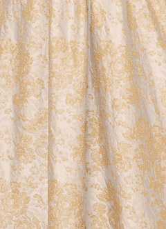 Runa Vintage Champagne Maxi Dress image7