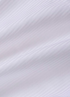 front Edward White 100% Cotton Non-Iron Dress Shirt