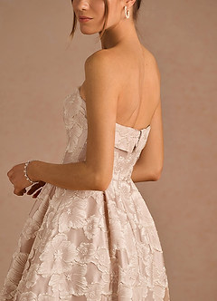 Florentine Vintage Blush Maxi Dress image4