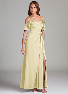 Dakota Try-on Dress