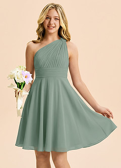 Azazie Charlize Junior Silver Sage A-Line Pleated Chiffon Dress image1