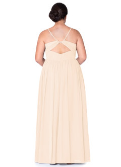 Azazie Cora Bridesmaid Dresses Pearl Pink A-Line Pleated Chiffon Dress image71