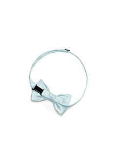 front Boy's Matte Satin Pre-Tied Bow Tie