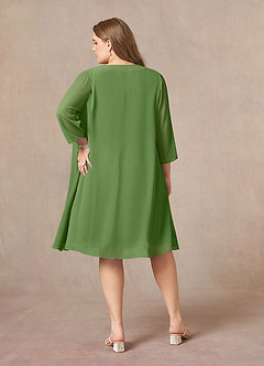 Azazie Shirley Mother of the Bride Dresses Basil A-Line Scoop Pleated Chiffon Dress image9