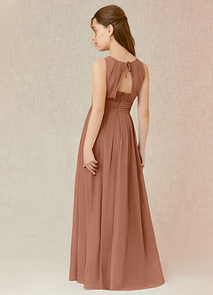 Azazie Bibiane Junior Bronzer A-Line Pleated Chiffon Dress image9
