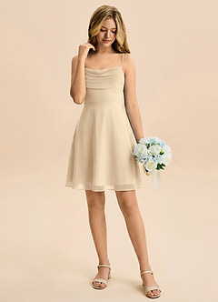 Azazie Bear Junior Champagne A-Line Pleated Chiffon Dress image3