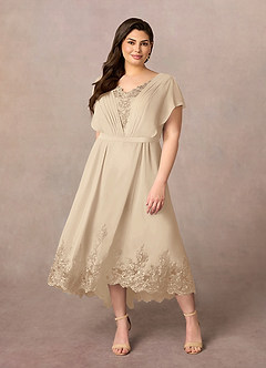 Azazie Palana Mother of the Bride Dresses Champagne A-Line Lace Chiffon Dress image6