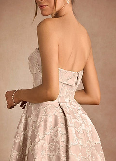 Florentine Vintage Blush Maxi Dress image6