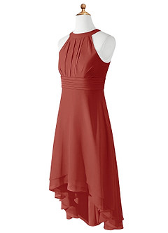 Azazie Linna Junior Terracotta A-Line Pleated Chiffon Dress image7