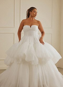 Christian Siriano Bridal for Azazie 2007 Wedding Dresses Diamond White Caramel Ball-Gown Sequins Tulle Dress image15