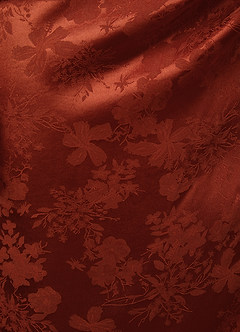 Robe Maxi Brun Rouille Reya image5