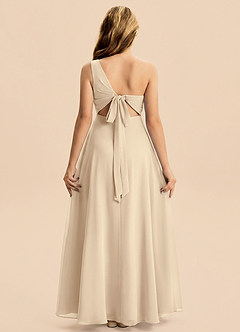 Azazie Phaedra Junior Champagne A-Line Pleated Chiffon Dress image2