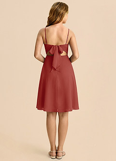 Azazie Shale Terracotta A-Line Bow Chiffon Dress image2