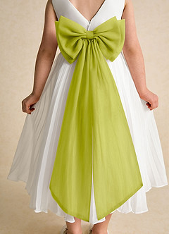 Azazie Margot Flower Girl Dresses Ivory Lemongrass A-Line Pleated Chiffon Dress image8