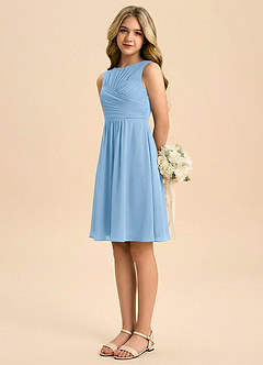 Azazie Skyla Junior Powder Blue A-Line Pleated Chiffon Dress image4