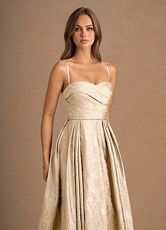 Maelis Vintage Champagne Maxi Gown image7