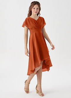 Azazie Graciela Junior Burnt Orange A-Line Pleated Chiffon Dress image5