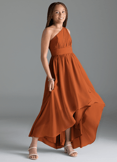 Azazie Mathilda Junior Cinnamon A-Line Pleated Chiffon Dress image3