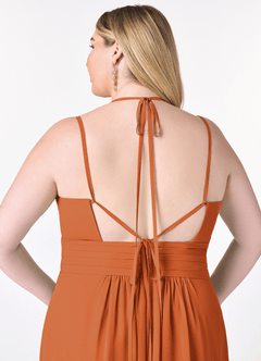 Azazie Farren Bridesmaid Dresses Cinnamon A-Line Pleated Chiffon Convertible Dress image14