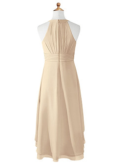 Azazie Linna Junior Champagne A-Line Pleated Chiffon Dress image6