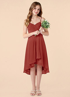 Azazie Mariam Junior Terracotta A-Line Pleated Chiffon Dress image5