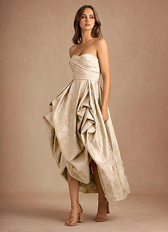 Maelis Vintage Champagne Maxi Dress image5