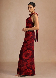 Dillon Carnelian Maxi Dress image5