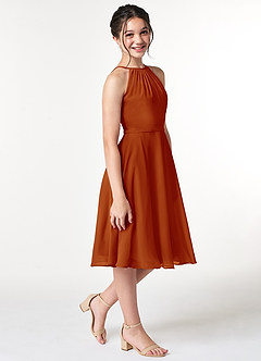 Azazie Alayna Junior Agave A-Line Pleated Chiffon Dress image5
