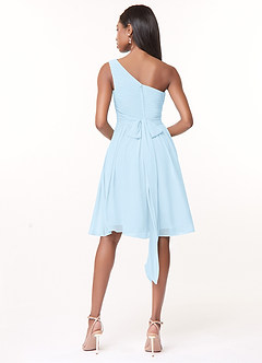 Azazie Katrina Bridesmaid Dresses Sky Blue A-Line One Shoulder Chiffon Dress image2