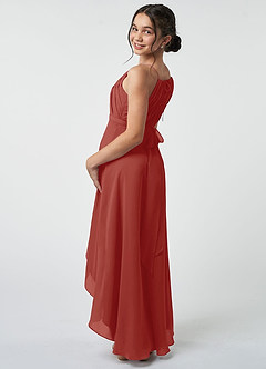 Azazie Oaklynn Junior Terracotta A-Line Pleated Chiffon Dress image5
