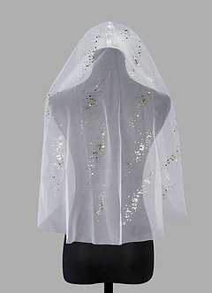 front Astrid Schleier