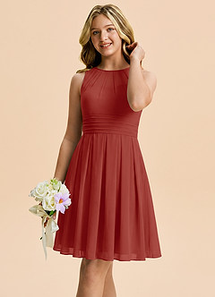 Azazie Bibiane Junior Terracotta A-Line Pleated Chiffon Dress image4