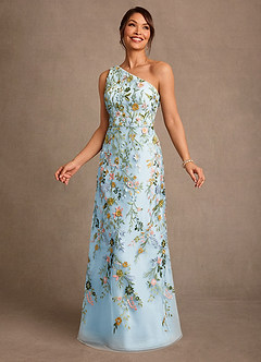 Azazie Bertie Mother of the Bride Dresses Sky Blue A-Line Lace Dress image4