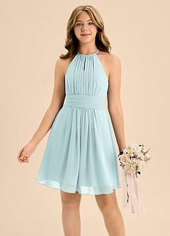 Azazie Bonnie Junior Mist A-Line Pleated Chiffon Dress image3