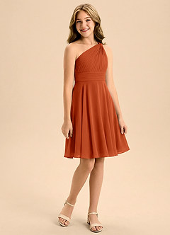 Azazie Charlize Junior Burnt Orange A-Line Pleated Chiffon Dress image3