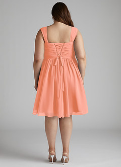 Azazie Angie Bridesmaid Dresses Sunset A-Line Corset Chiffon Dress image14