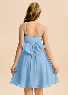 Azazie Bear Junior Powder Blue A-Line Pleated Chiffon Dress image2