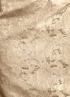 Azazie Irvine Moeder van de bruid jurken A-Lijn Jurk van Bloemenjacquard Geplooid Champagne image7