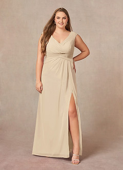 Azazie Sally Mother of the Bride Dresses Champagne A-Line V-Neck Pleated Chiffon Dress image6