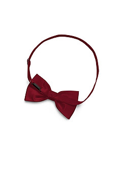 front Matching Matte Satin Pre-Tied Bow Tie & Suspenders Set