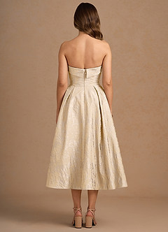 Cecilia Vintage Champagne Midi Dress image4