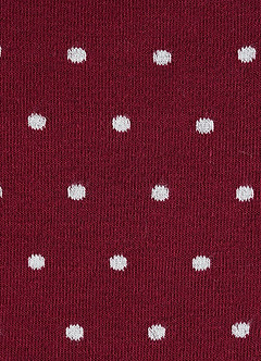 front Polka Dot Groomsmen Socks