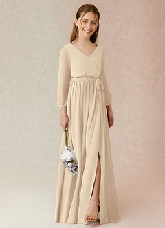 Azazie Angelica Junior Champagne A-Line Pleated Chiffon Dress image4