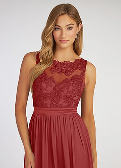 Elly Rust A-Line Lace Scoop Neck Chiffon Dress image9