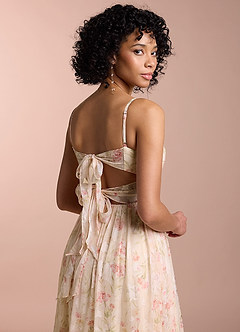 Blaire Blush Multi Maxi Dress image7