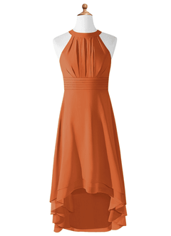Azazie Linna Junior Cinnamon A-Line Pleated Chiffon Dress image5